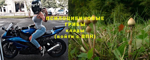 гашик Балабаново