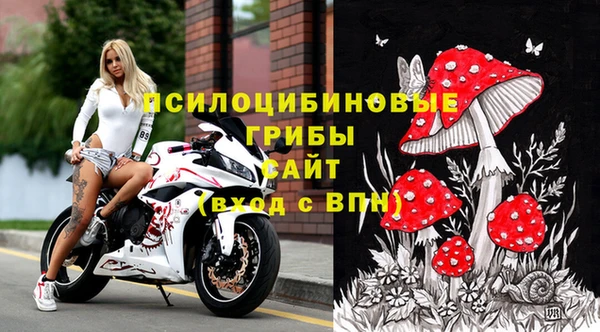 гашик Балабаново