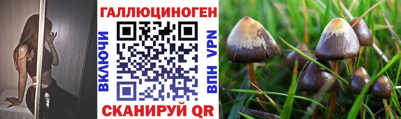 Псилоцибиновые грибы прущие грибы  цена   Хвалынск 